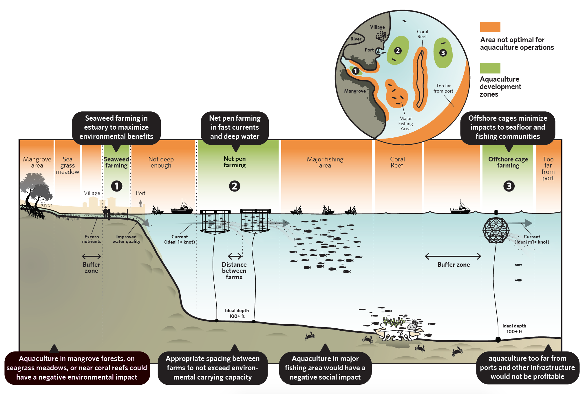 Sustainable Aquaculture Is The Future Of Seafood